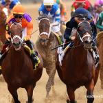 New to betting horse racing - Here's our tips ahead of the Kentucky Derby