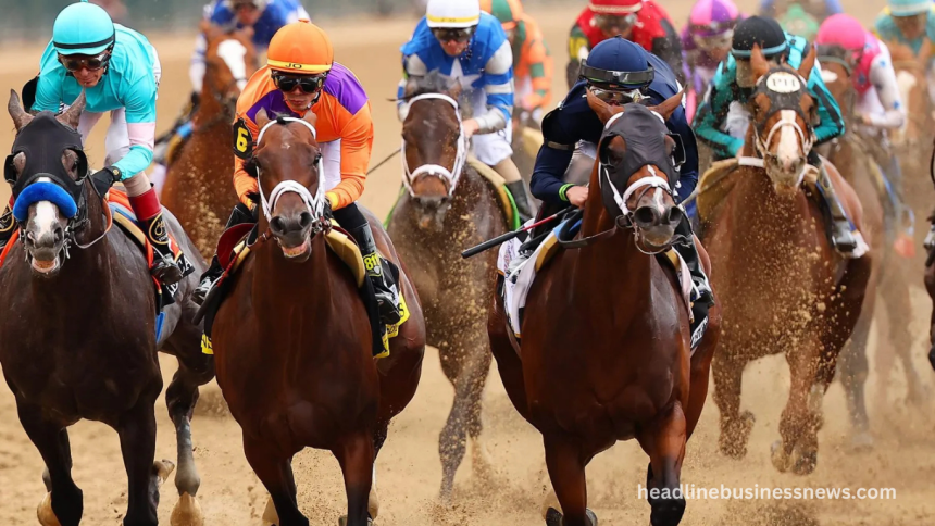 New to betting horse racing - Here's our tips ahead of the Kentucky Derby