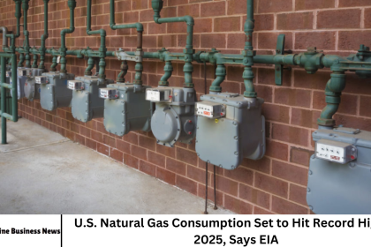 U.S. Natural Gas Consumption Set to Hit Record High in 2025, Says EIA