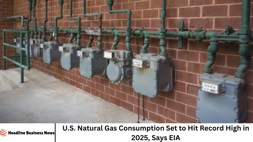 U.S. Natural Gas Consumption Set to Hit Record High in 2025, Says EIA