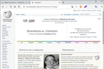 user adjusting privacy and security settings in web browser