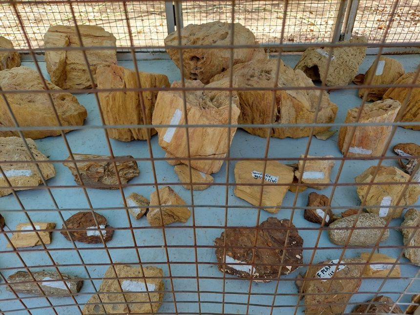 Researchers excavating a fossil site